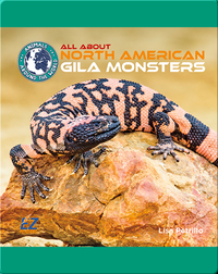 All About North American Gila Monsters