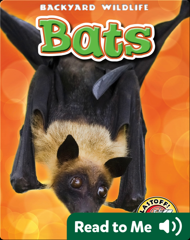 Bats Backyard Wildlife Children's Book by Kari Schuetz Discover