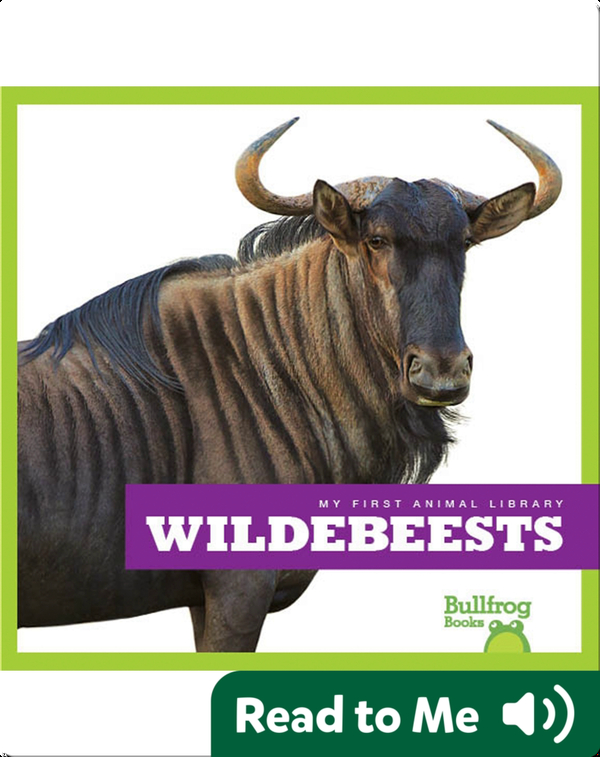 My First Animal Library: Wildebeests