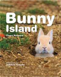 Bunny Island