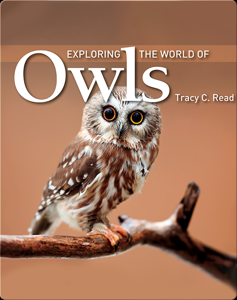Exploring the World of Owls Children's Book by Tracy C. Read Discover