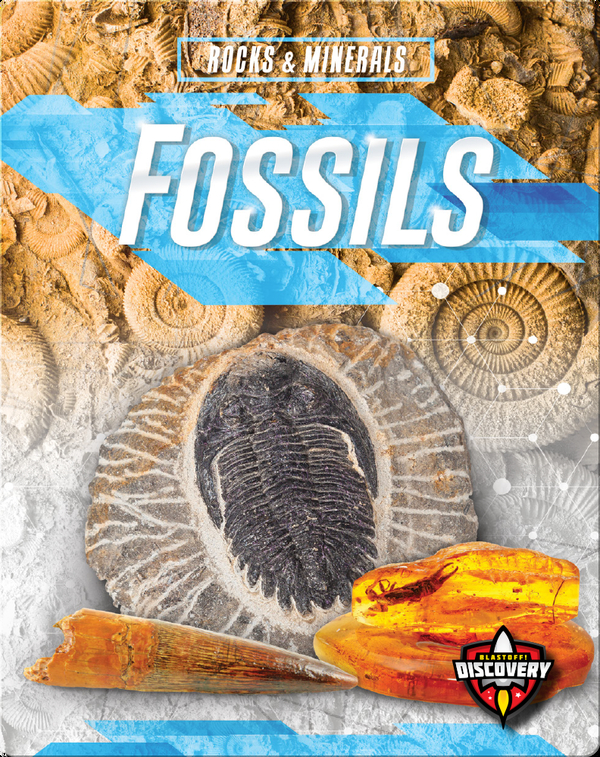 fossils discovery