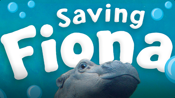 Saving Fiona: The Story of the World's Most Famous Baby Hippo