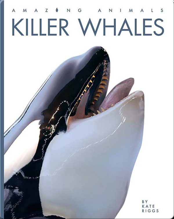 Amazing Animals Killer Whales Children's Book by Kate Riggs Discover