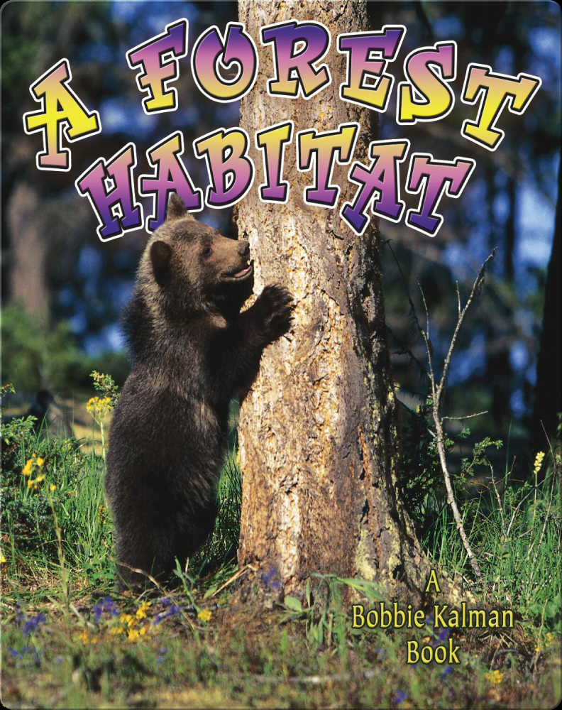 A Forest Habitat Children's Book by Bobbie Kalman Discover Children's