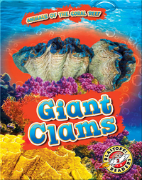 Animals of the Coral Reefs: Giant Clams