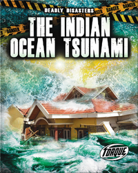 Deadly Disasters: The Indian Ocean Tsunami
