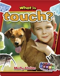 What is Touch?