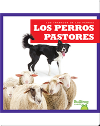 Los perros pastores