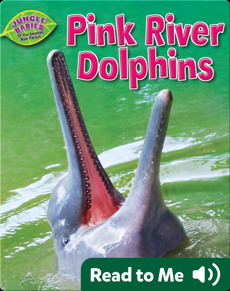 Pink River Dolphins Children S Book By Rachel Lynette Discover Children S Books Audiobooks Videos More On Epic