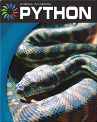 Animal Invaders: Python