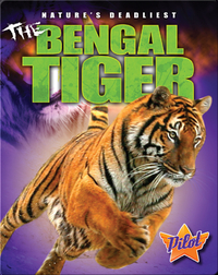 The Bengal Tiger