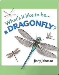 What's It Like To Be A Dragonfly?