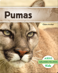 Pumas