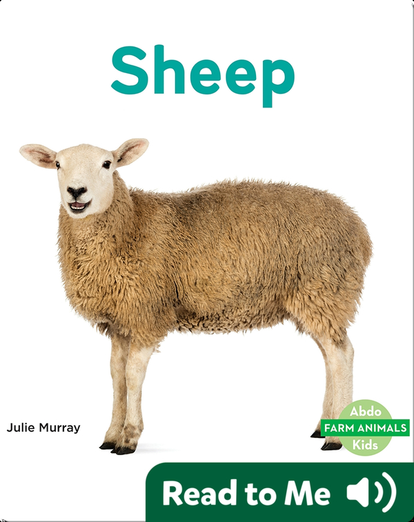Sheep Children's Book by Julie Murray Discover Children's Books