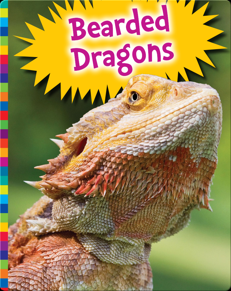 Bearded Dragons Children's Book by Elizabeth Raum Discover Children's