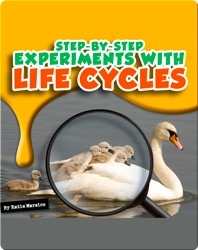 Step-by-Step Experiments With Life Cycles