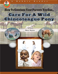 Care for a Wild Chincoteague Pony