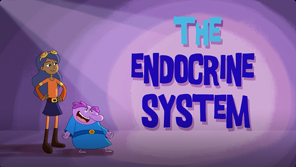 The Endocrine System Video | Discover Fun and Educational Videos That