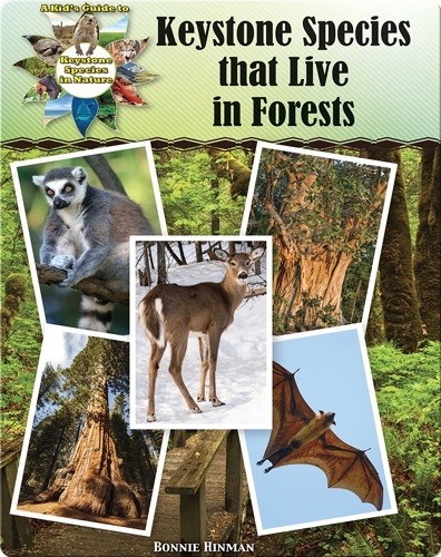 Keystone Species that Live in Forests