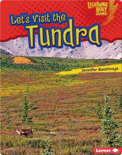 Let's Visit the Tundra