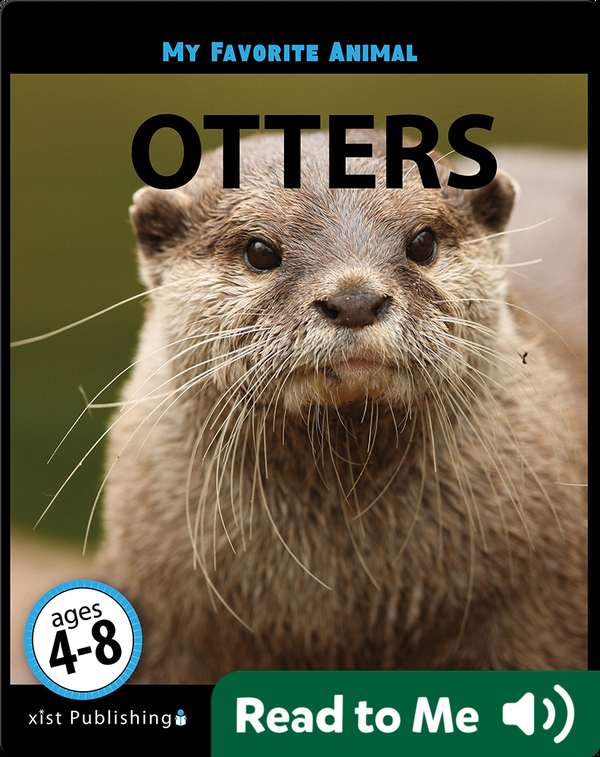 My Favorite Animal: Otters