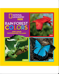 Rain Forest Colors