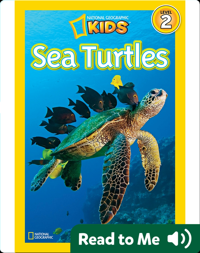 National Geographic Readers Sea Turtles Children's Book by Laura Marsh