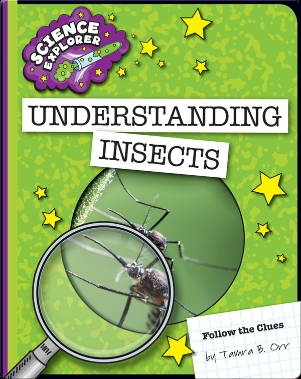Understanding Insects