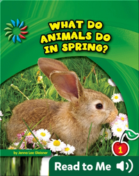What Do Animals Do In Spring?