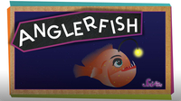 SciShow Kids: All About Anglerfish