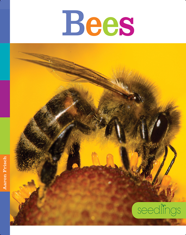 Bees Children's Book by Aaron Frisch Discover Children's Books