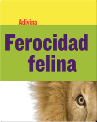 Ferocidad felina: León