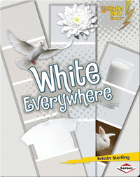 White Everywhere