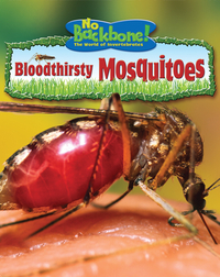 Bloodthirsty Mosquitoes