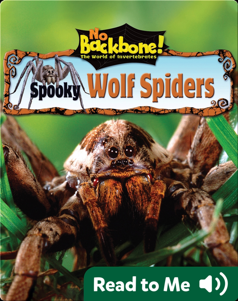 Spooky Wolf Spiders Children's Book by Meish Goldish ...