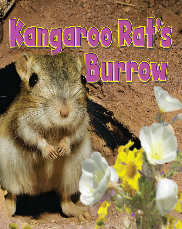 Kangaroo Rat's Burrow