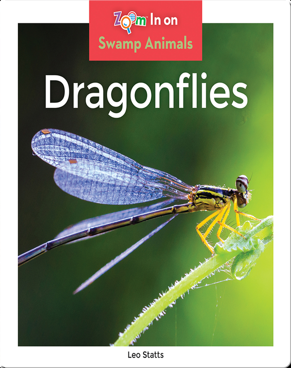Dragonflies Children's Book by Leo Statts | Discover Children's Books ...