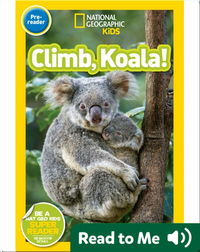 National Geographic Readers: Climb, Koala!