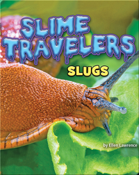 Slime Travelers: Slugs