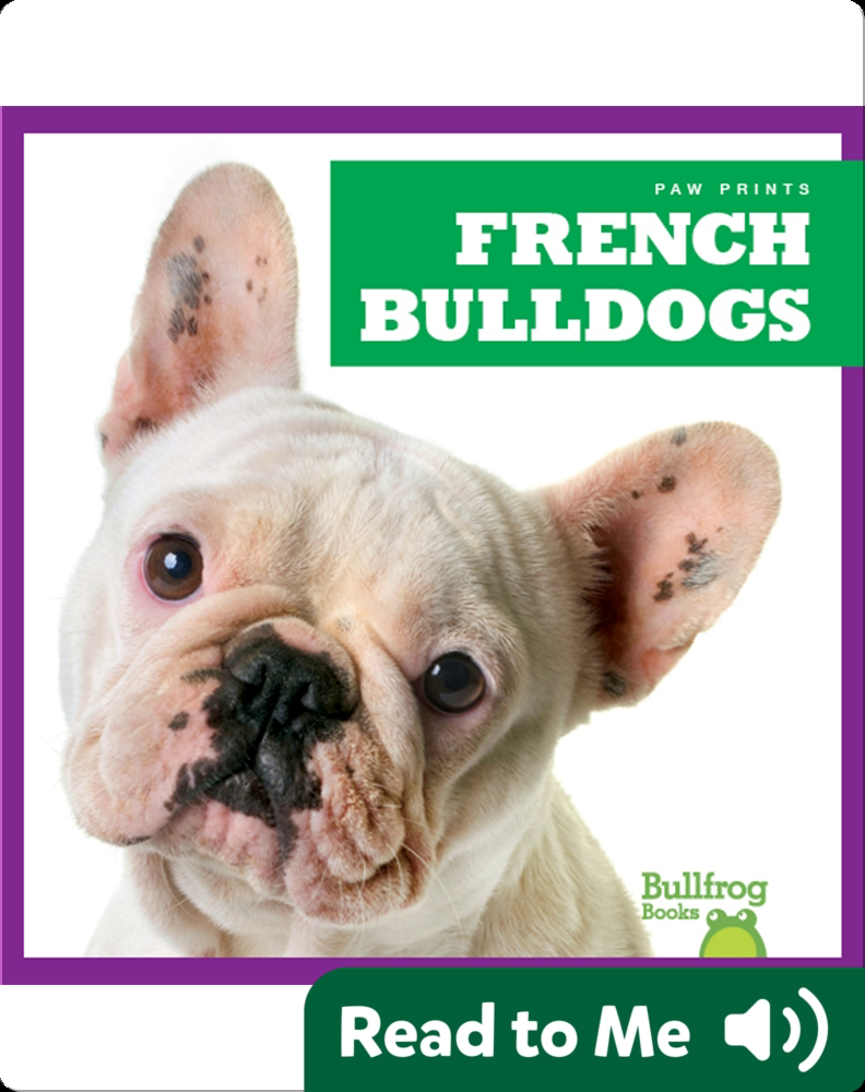 French Bulldogs Children's Book by Kristine Spanier Discover Children