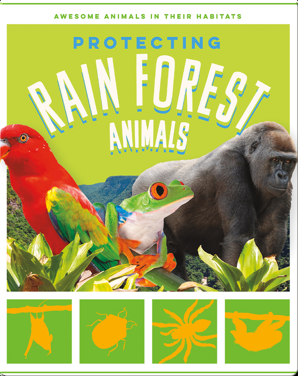 Protecting Rain Forest Animals