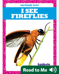 I See Fireflies