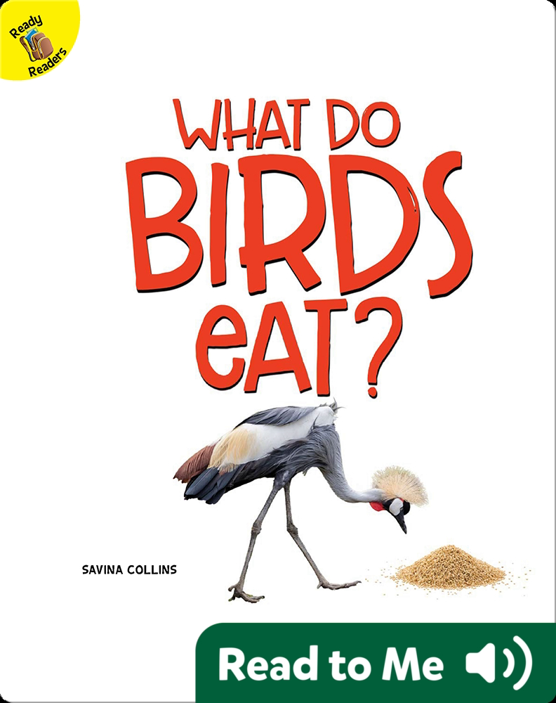 What Do Birds Eat? Children's Book by Savina Collins Discover