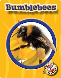 Bumblebees: World of Insects