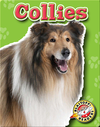 Collies: Dog Breeds