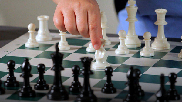 Download 3 Basic Opening Strategy Principles in Chess Video | Discover Fun and Educational Videos That ...