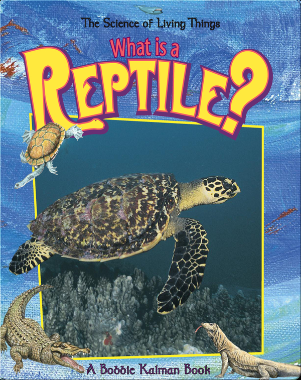 What Is A Reptile Children S Book By Bobbie Kalman Discover Children S Books Audiobooks Videos More On Epic