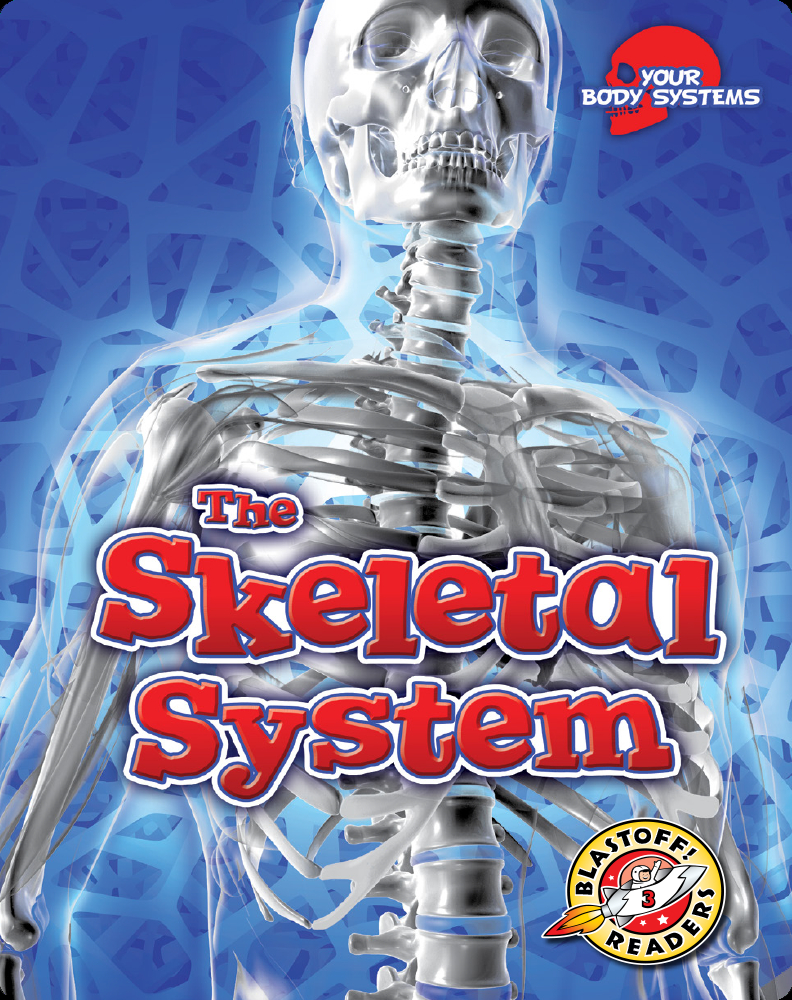 The Skeletal System Children's Book by Rebecca Pettiford Discover Children's Books, Audiobooks
