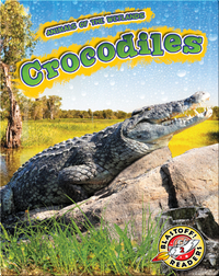 Animals of the Wetlands: Crocodiles